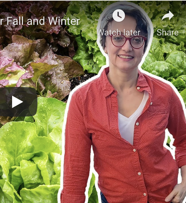 Preparing Your Garden for Fall and Winter