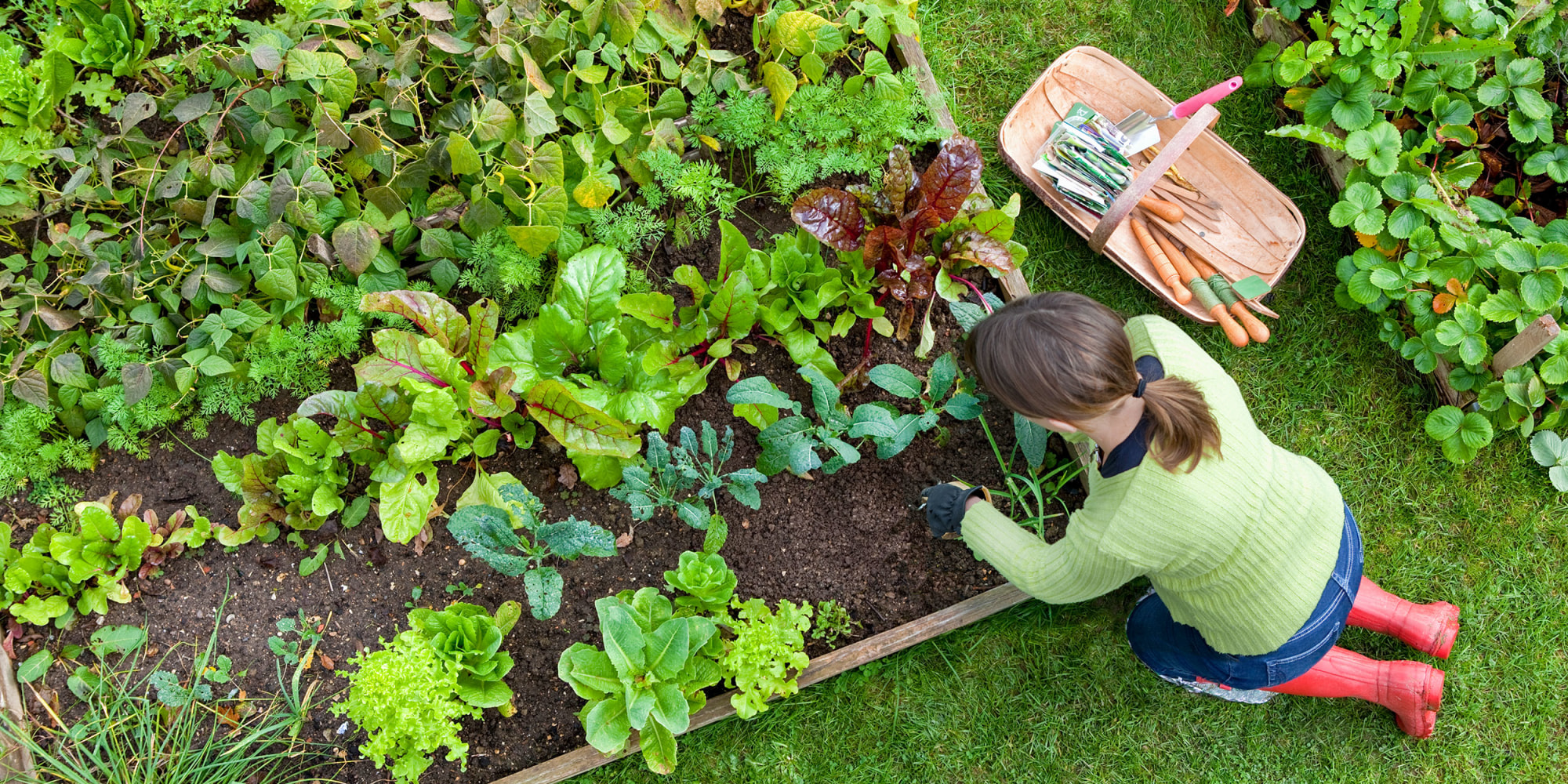 As Featured on 12 best raised garden beds in 2021