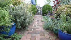 Brick path - looking east Brick path- looking east