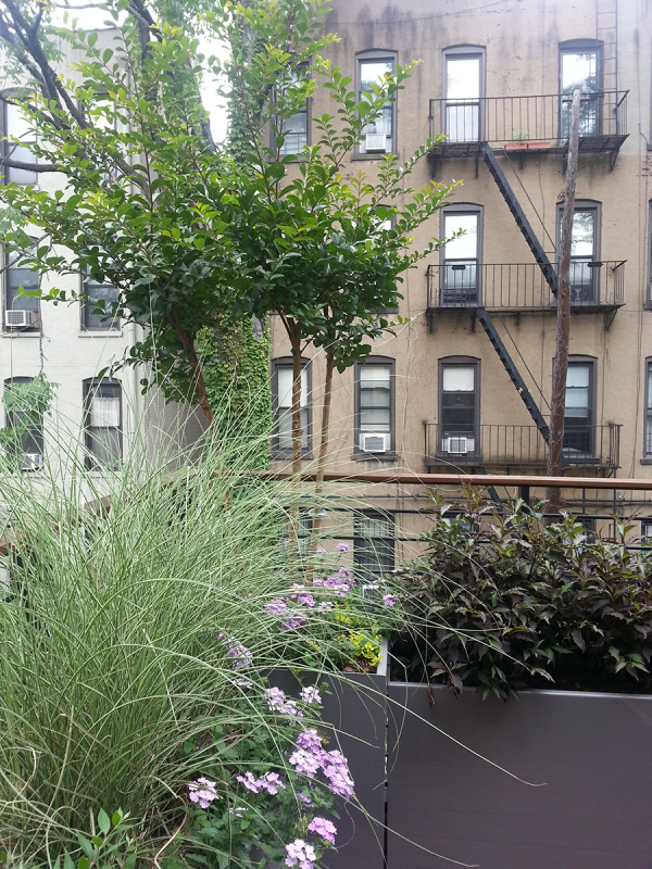 Detail of Master Bedroom Deck Oasis Detail of Master Bedroom Deck Oasis