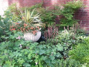 Pocket sized front garden with formal urn Pocket sized front garden with formal urn