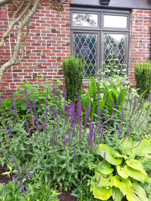 Deep perimeter border with perennials & Grasses Deep perimeter border with perennials & Grasses