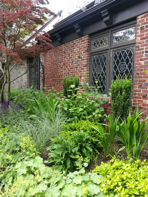 Long Border with Boxwood & perennials Long Border with Boxwood & perennials