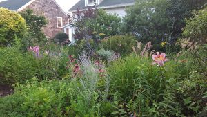 Cottage Garden - Block Island, Rhode Island Cottage Garden - Block Island, Rhode Island