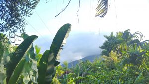 Cloud Forest & Zip Lines Costa Rica Cloud Forest & Zip Lines Costa Rica