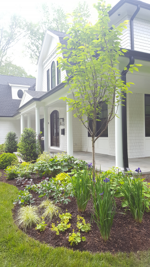 Corner front Garden Corner front Garden