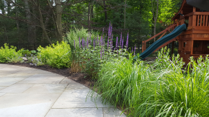 Rear Patio Border Rear Patio Border