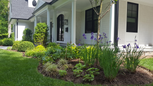 Detail of front border with Iris Detail of front border with Iris