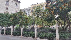 Public Park - Valencia, Spain Public Park - Valencia, Spain