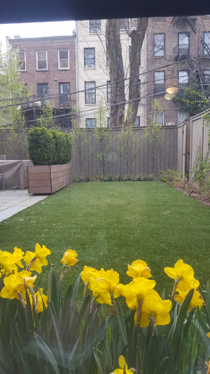 Daffodil Bed & artificial turf lawn Daffodil Bed & artificial turf lawn