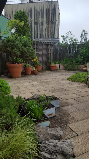 Rock garden/ Herb bed Rock garden/ Herb bed