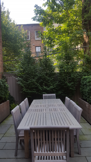 Bluestone patio with Boxwood hedging Bluestone patio with Boxwood hedging
