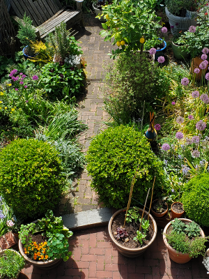 Rear Garden from above Rear Garden from above