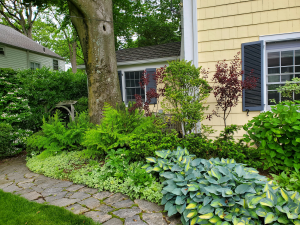 Mixed Shade border Mixed Shade border