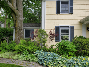 Suburban - Low maintenance front garden Suburban - Low maintenance front garden