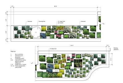 Plant Palette for Front Entry garden