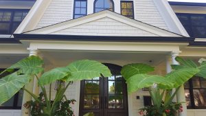 Detail of the front of the house Front of house