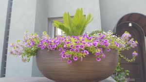 Details of a planter garden Planter garden