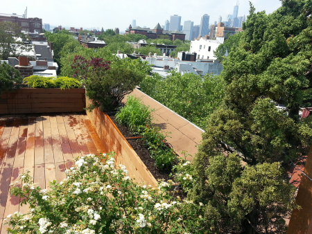 After - Lush plantings that frame the beautiful view After Brooklyn Roof Garden 2
