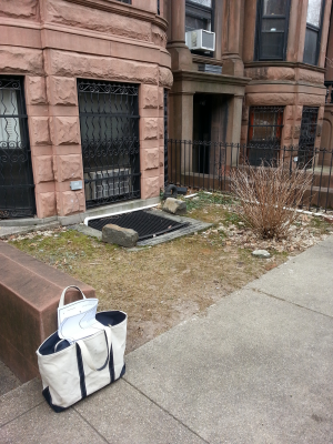 Before - No privacy or screening Before Brooklyn Front Garden 2