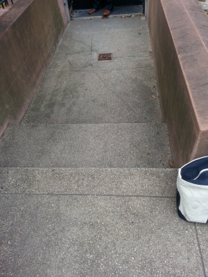 Before - Cracked & Stained concrete paving Before Brooklyn Front Garden 3