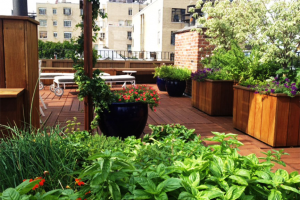 After - Brooklyn Roof garden with River view Brooklyn Roof garden with River view After