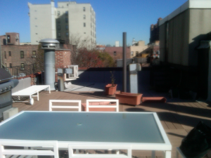 Before - Brooklyn Roof garden with River view Brooklyn Roof garden with River view before 1
