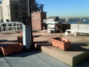Before Brooklyn Roof garden with River view 2 Brooklyn Roof garden with River view before 2