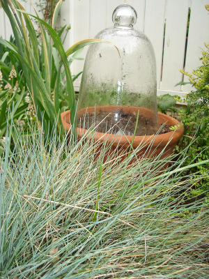 Garden Cloche Garden Cloche