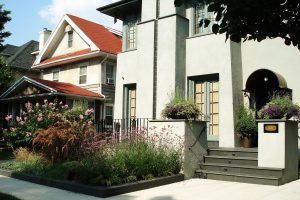 Front Garden with grasses & mini meadow Front Garden with grasses & mini meadow