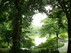 The Lake - Central Park, NYC The Lake - Central Park, NYC