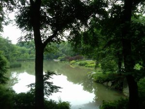 On the Lake - Central Park, NYC On the Lake - Central Park, NYC