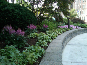 Hillside Border with Astilbe Hillside Border with Astilbe