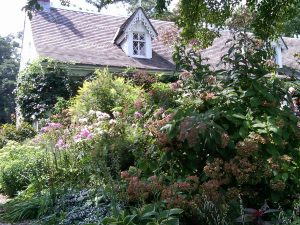 High Summer- Border Garden Alice Austen House - Staten Island NY High Summer- Border Garden Alice Austen House Staten Island NY