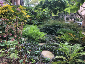 Woodland path Woodland path