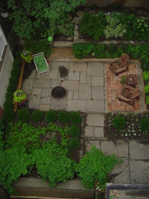 Multi-level rear garden with mixed paving and evergreen borders Multi- level rear garden with mixed paving and evergreen borders