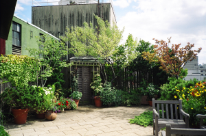 West terrace with shed West terrace with shed