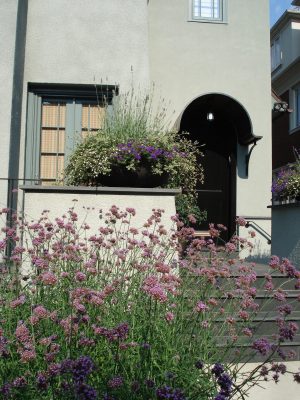 Detail of front garden with meadow & low bowls Detail of front garden with meadow & low bowls