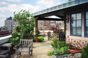 West Terrace with water garden West Terrace with water garden