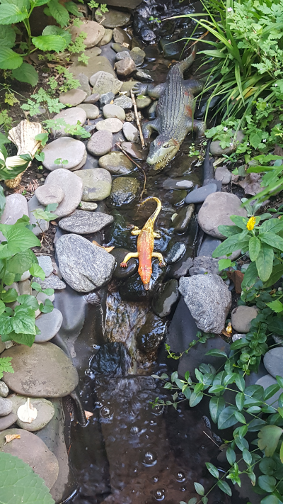 Beware of Crocodiles