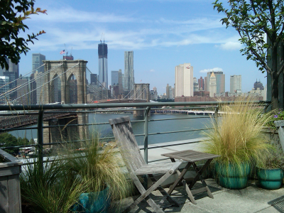 Container garden with grasses & perennials Container garden with grasses & perennials