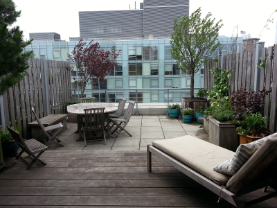 Upper lounge area with decking & perimeter planting Upper lounge area with decking & perimeter planting
