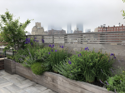 Custom wood planters with mixed perennials Custom wood planters with mixed perennials