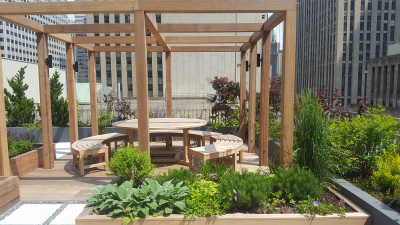 South dining area with mixed shrub border & fragrant perennials & herbs South dining area