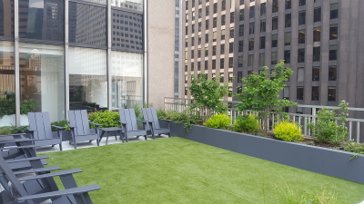 North Turf lawn with mixed shrub perimeter planting North Turf lawn with mixed shrub perimeter planting