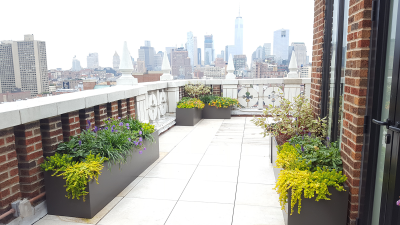 Multi- Level NYC Terrace Garden Multi- Level NYC Terrace Garden 3