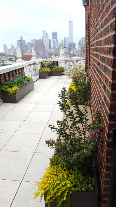 East Terrace with Custom metal planters East Terrace with Custom metal planters
