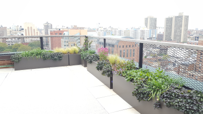 Upper Bedroom terrace with Perennials & Grasses Upper Bedroom terrace with Perennials & Grasses