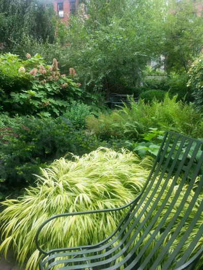 Detail of seating area with ferns, Hakone grass & shrub and tree layer Detail of seating area with ferns, Hakone grass & shrub and tree layer