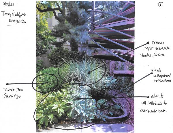 Goldfarb Plans 1 - Carmen Devito
